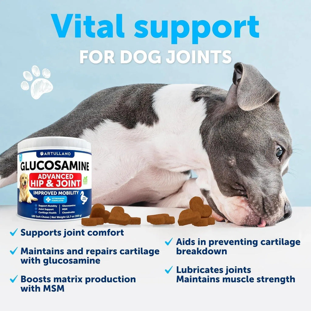 Glucosamine For Dogs Hip And Joint Supplement Chondroitin Hemp Oil MSM Chews Arthritis Support Large Breeds 120 Treats