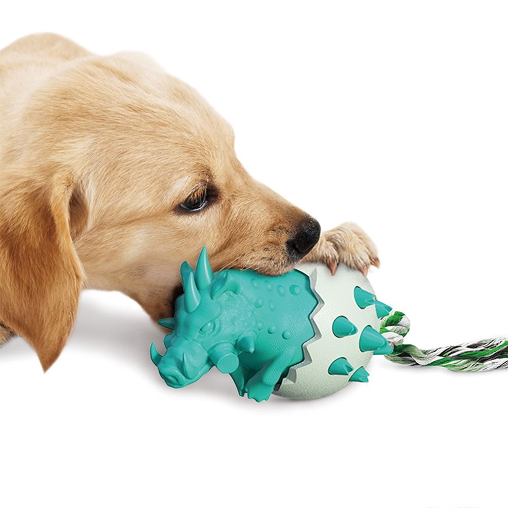 504773371